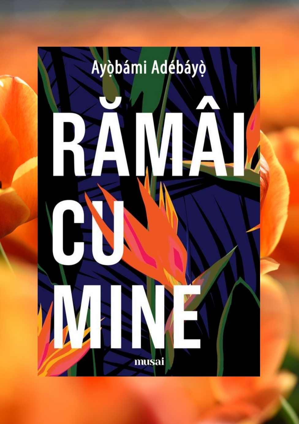 Ramai cu mine, recenzie carte, Ayobami Adebayo